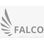 Falco_logo_standardized